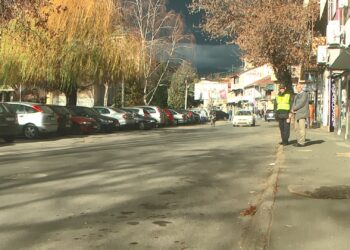 Се чека согласност од Советот за нови паркинг места на „Кеј на Револуцијата“