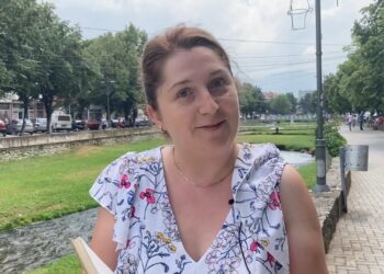 Магдалена Кочовска Салтирова од библиотеката „Искра“ ја доби наградата за најдобар библиотекар