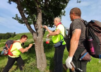 Членови на ПСК „Осогово“ ја маркираа планинарската патека од Цера до врвот Китка на Осоговските Планини