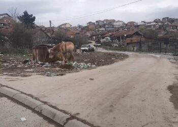 Во Колерски Гробишта ќе се уредува парк, се планира да се потрошат 8,5 илјади евра