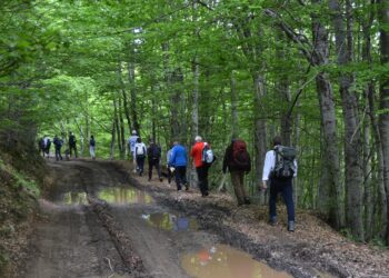 Пешачење до врвот Панаѓур на Осоговските Планини