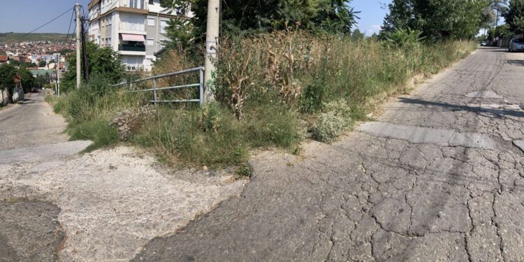 Џунгла на асфалтот во Кочани