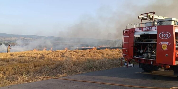 Пожарникарите интервенираа со сите ресурси на пожари кај Соколарци и Теранци