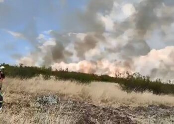 Пожар во атарот на Врбица и Рајчани, зафатени педесетина хектари нискостеблеста шума