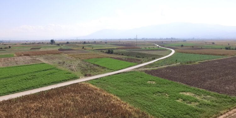 20-годишно момче од Облешево почина во сообраќајка на локалниот пат кон Бања