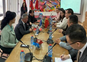 Делегација од амабасадата на Кина ја посети Општина Виница, компанијата „Синохидро“ донираше опрема за јавно осветлување