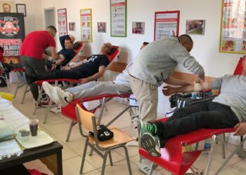 Крводарителска акција во Виница, собрани 140 единици крв