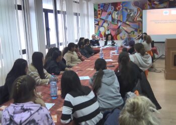 Во Виница и Кочани се одржаа работилници против родово базираното насилство