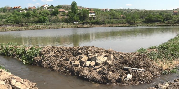 Почна полнењето со вода на земјоделските површини и сеидбата на оризот во Кочанско