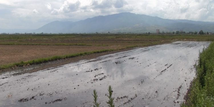 Од понеделник ќе почне полнењето на нивите во Кочанско со зафаќање на проточните води