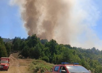 Шумски пожар во атарот на селото Пресека на падините на Осоговските Планини