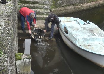 Здружението „Кочански рибар“ изврши порибување со 100 кг крап во браната Гратче и 20 кг пастрмка во Зрновка и Голема Река