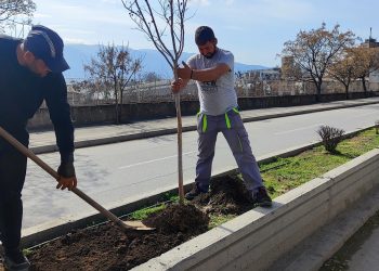 Пролетна акција за озеленување на јавните површини спроведуваат комуналните служби во Општина Кочани