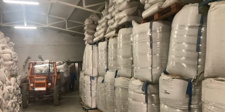 Откупот на оризова арпа е во застој поради неконкурентните цени за пласман во странство