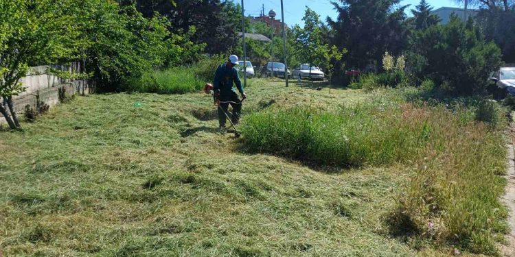 Чисто, безбедно и уредно – се реализира акција за расчистување на кругот на Општата болница во Кочани