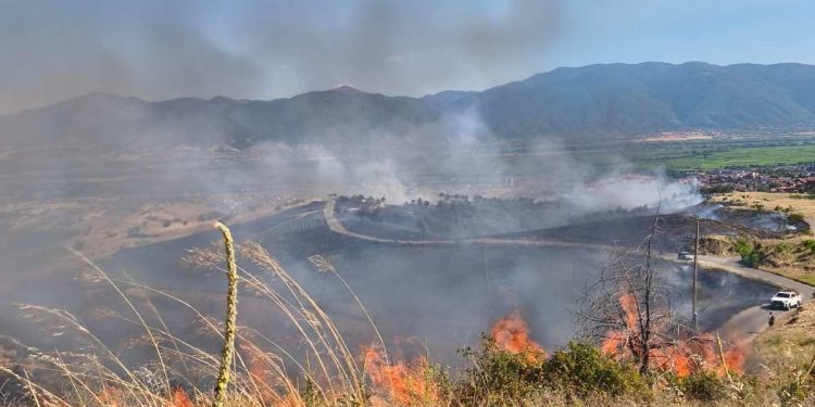 Илијев: Зошто во предизборната кампања никој од кандидатите за градоначалници во општините не зборува за подобрување на противпожарната заштита?