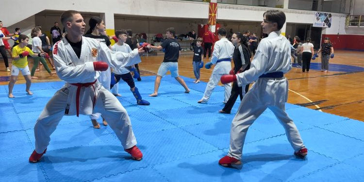 Филип Стојанов и Јован Арсов од карате клубот „Партизан“ ќе ја претставуваат Македонија на Балканското младинско првенство во Хрватска