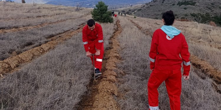 Акција за пошумување во рамки на проектот „Зелен волонтеризам“ се реализираше на локацијата Врши Дол кај Виница