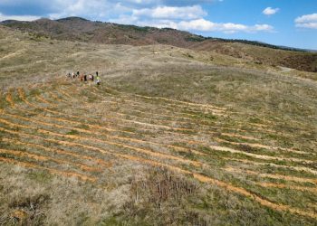 Членовите на КПС „Осоговски орел“ засадија 300 багреми во чест на настраданите во „Пулс“, меѓу кои беа и двајца планинари