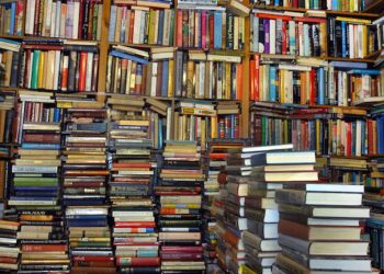 Да создадеме македонска библиотека во Холандија – апел за донирање книги